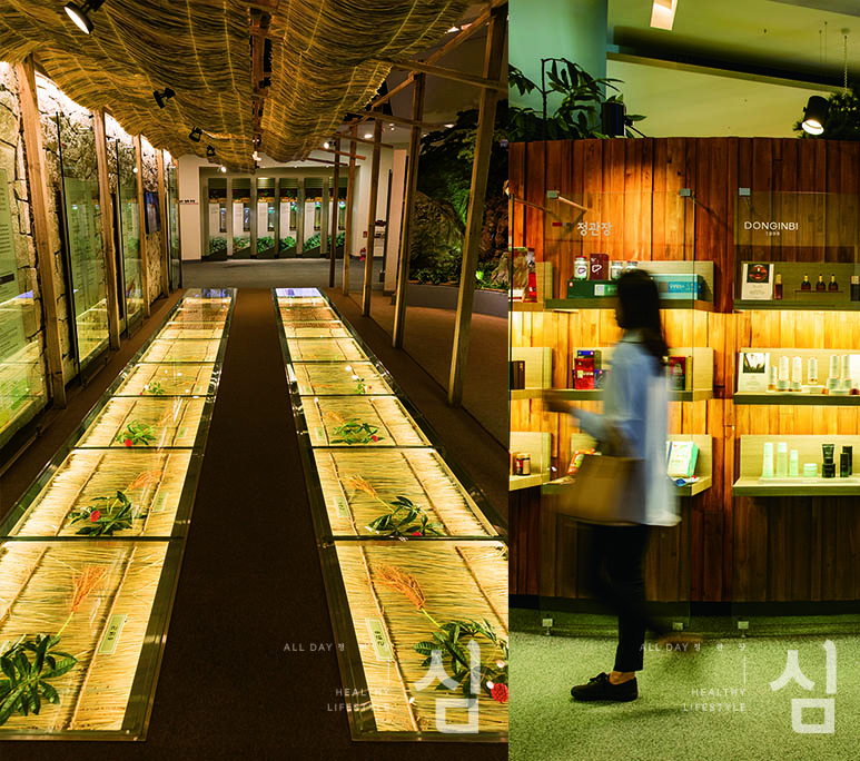 맑은 눈, 밝은 눈 